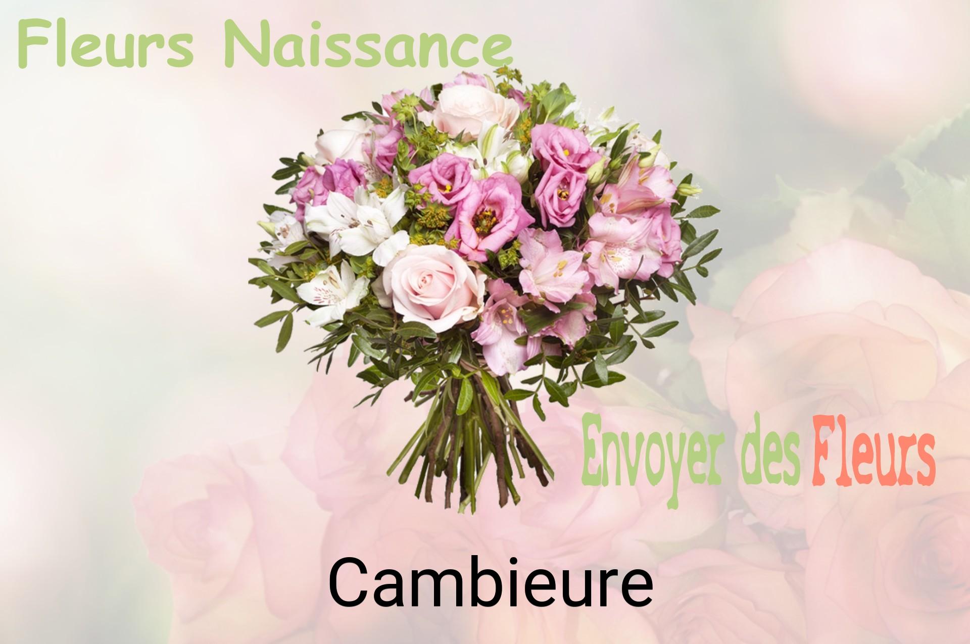Bouquet de fleurs de naissance livré à Cambieure